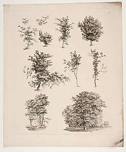 "Studier efter Naturen med Hensyn til Landskabstegning af S.H. Petersen", nr. 3 by Søren Henrik Petersen
