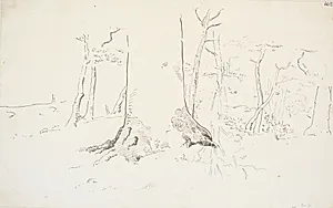 Studier i en skov by Dankvart Dreyer