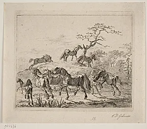Stutteriheste