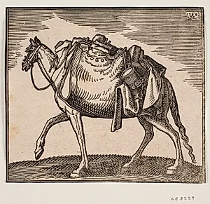 Svært bepakket hest by Melchior Lorck