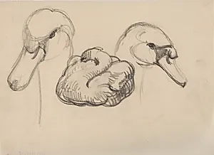 Svane og hoveder af svaner by J.A. Jerichau (II)