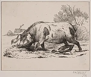 Svinet og anden by Adolph Kittendorff