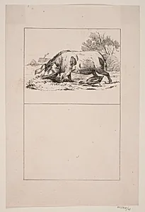 Svinet og anden by Adolph Kittendorff