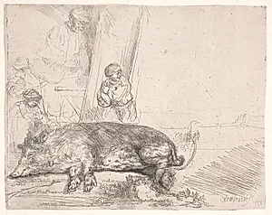 Svinet by Rembrandt van Rijn