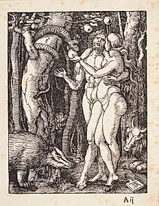Syndefaldet by Albrecht Dürer