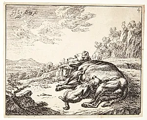 Tæve, som ammer sine hvalpe by Johan le Ducq