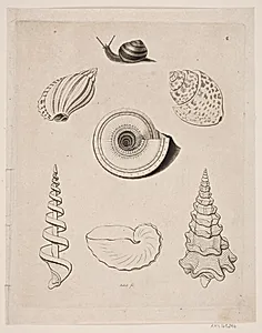 Tavle med snegle by Gerhard Ludvig Lahde