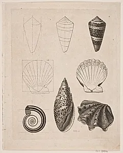 Tavle med snegle by Gerhard Ludvig Lahde