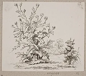 Tidselen og rosen by Oluf Olufsen Bagge