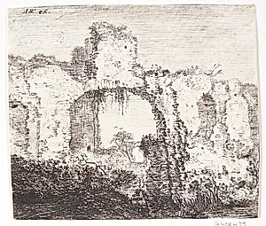 Tilgroet ruin