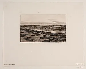 Tisvilde strand