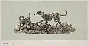 Titel-vignet til "Chiens de chasse" by Christian David Gebauer