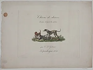 Titelblad til "Chiens de chasse" by Christian David Gebauer