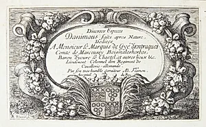 Titelblad til "Firbenede dyr" by Albert Flamen