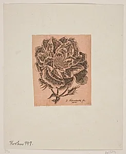 Titelkobber: En jubel-rose
