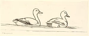 To ænder. Dekorativt udkast. by P.C. Skovgaard