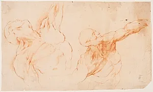 To anatomiske studier af en flået man, med venstre arm løftet (écorchés) by Willem Panneels