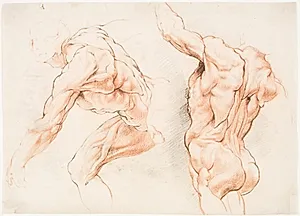 To anatomiske studier af en mand, der læner sig mod venstre, og en anden set bagfra med løftet arm (écorché) by Willem Panneels