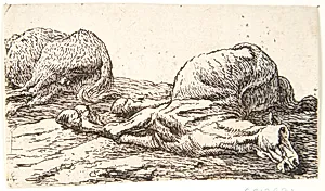 To døde heste by Pieter van Laer