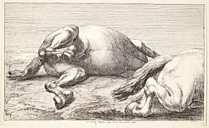 To faldne heste by Jan van Huchtenburg
