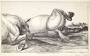 To faldne heste by Jan van Huchtenburg