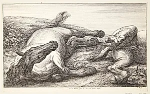 To faldne heste by Jan van Huchtenburg