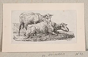 To får by Johannes Wilhelm Zillen
