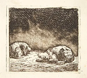To får by Karel Du Jardin