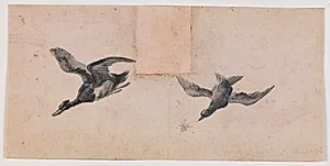 To flyvende fugle by Pandolfo Reschi