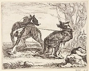To greyhounds by Joannes Fijt