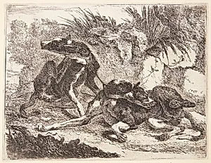 To greyhounds by Joannes Fijt