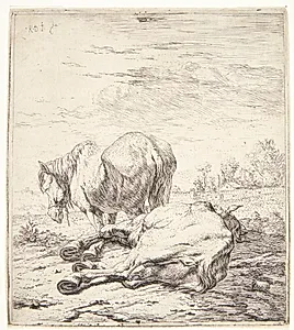 To heste by Karel Du Jardin
