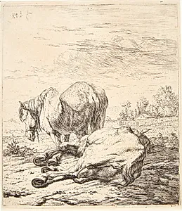 To heste by Karel Du Jardin