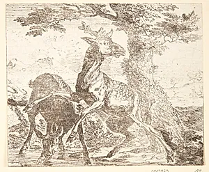 To hjorte by Abraham Hondius