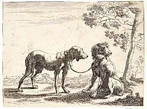 To hunde bundet sammen by Paulus van Hillegaert (II)