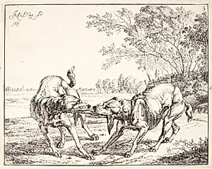 To hunde, der kæmper om et stykke kød
