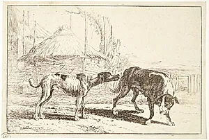 To hunde