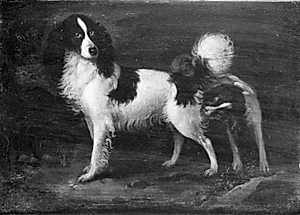 To hunde by I.A. Beeldemaker