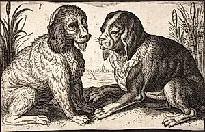 To hunde ved en søbred by Ubekendt