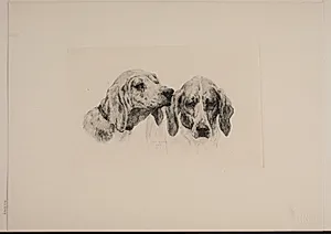 To hundehoveder