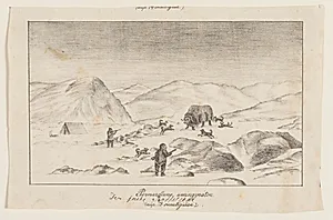 To jægere med hunde, der angriber en moskusokse ("Pernardlune umingmátoK") by Lars Møller