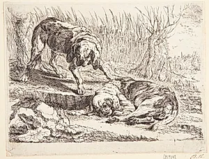 To jagthunde by Joannes Fijt