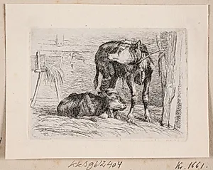 To kalve by Johannes Wilhelm Zillen