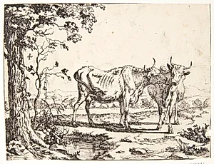 To køer by Marcus de Bye