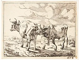 To køer by Marcus de Bye