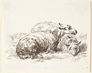 To liggende får by Nicolaes Berchem