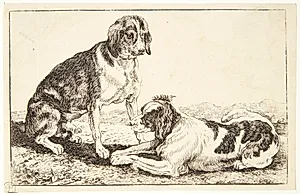To liggende hunde by Jan van den Hecke I