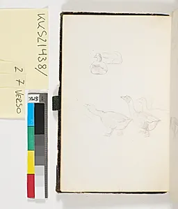 To liggende og tre gående ænder by P.C. Skovgaard