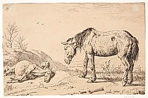 To øg, det ene døende by Paulus Potter