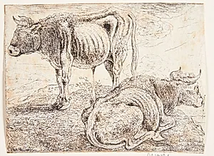 To okser by Jan Jansz. den Uyl II